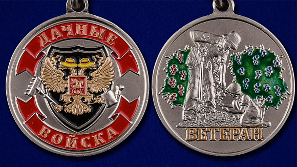 Медаль с удостоверением "Дачные войска" в наградном футляре