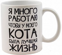 Я много работаю, чтобы у моего кота..