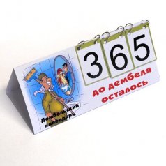 Сувенир "Дембельский календарь"